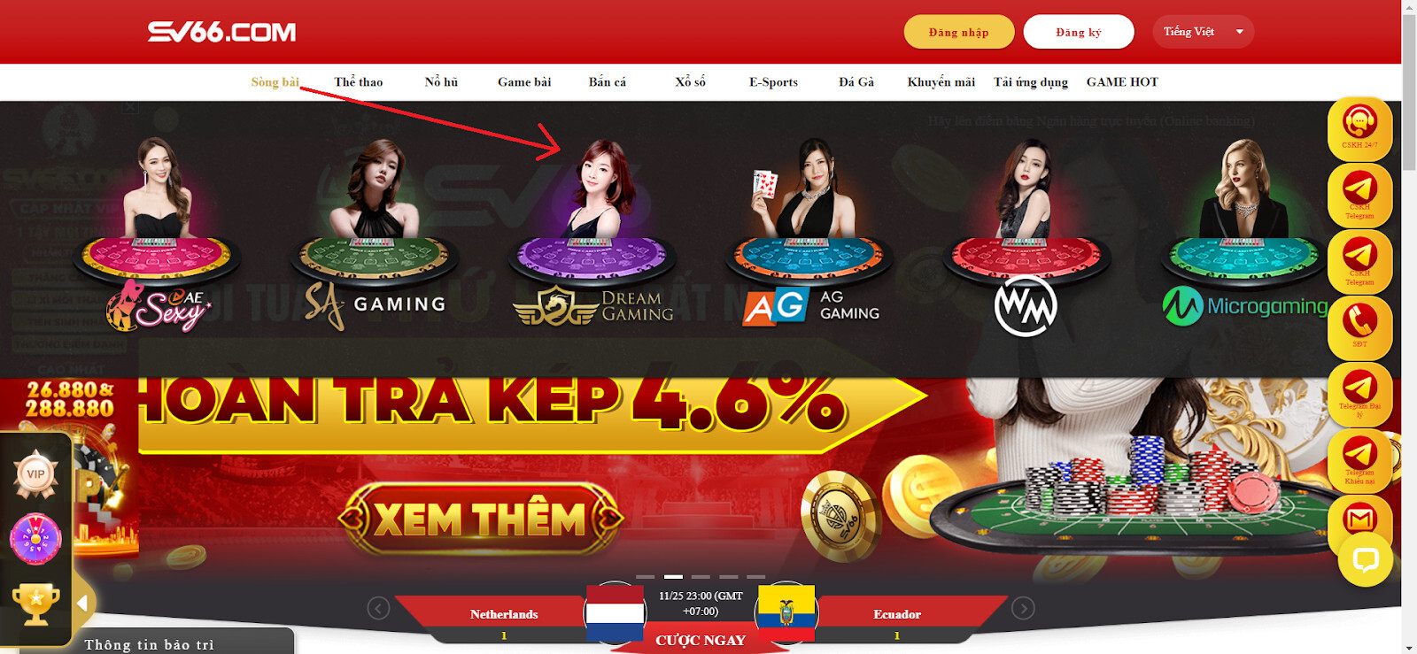 Dreamgaming SV66 - Sảnh casino đẳng cấp quy tụ kho game hot 7 Hướng dẫn chơi cá cược tại sảnh Dreamgaming ở nhà cái SV66 cho tân thủ