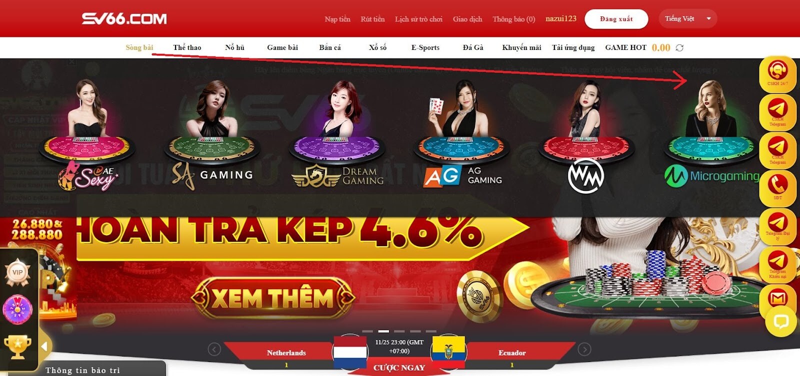 Microgaming SV66 - Sảnh cược uy tín số 1 thị trường online 8 Hướng dẫn chơi cá cược tại sảnh Microgaming SV66