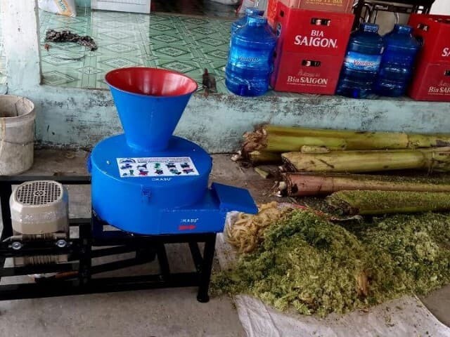 Hướng dẫn cách cho gà ăn thân cây chuối đúng cách nhất 10 Cần lưu ý gì trong quá trình sử dụng thân chuối băm cho gà ăn