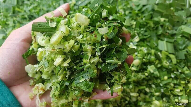 Danh sách thức ăn cho gà chọi cung cấp đủ chất dinh dưỡng 4 Rau củ xanh là loại thức ăn phổ biến của gà chọi