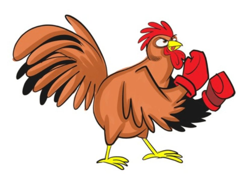 Một số loại thuốc cơ bản dành cho Gà Đá mà bạn cần biết 7 Bạn cần lưu ý gì khi sử dụng một số loại thuốc cơ bản dành cho gà đá