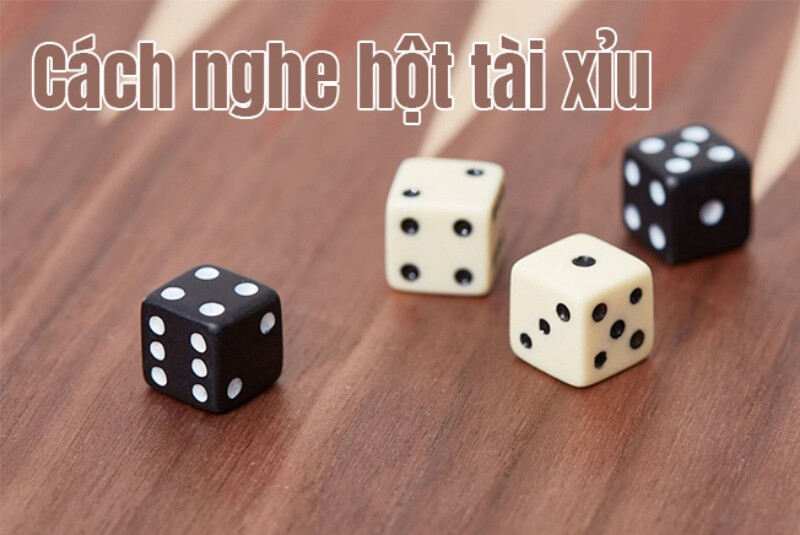 Cách nghe hột tài xỉu dự đoán chuẩn xác nhất 5 Cách nghe hột tài xỉu theo cao thủ đã đạt chuẩn