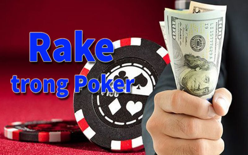 Rake là gì trong poker? Rake có sức ảnh hưởng ra sao trong poker 6 Rake có ảnh hưởng như thế nào trong game bài poker