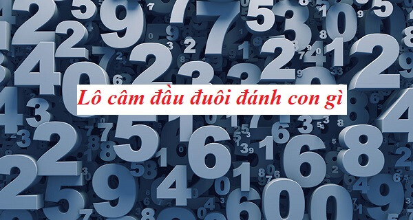 Tìm hiểu lô đầu câm đánh con gì để có tỷ lệ thắng cao 6 Lô đầu câm đánh con gì mang lại tỷ lệ thắng cao?